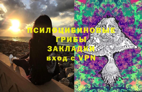 spice Киренск