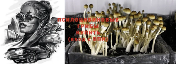 хмурый Карпинск