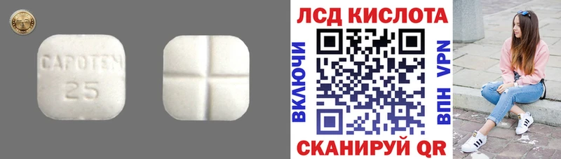 Купить закладки  Ельня  ЛСД экстази ecstasy 