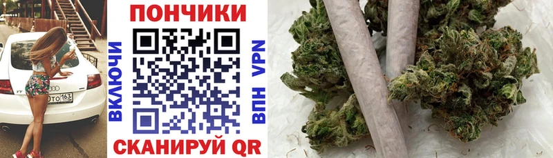 Купить закладки Ельня Каннабис семена